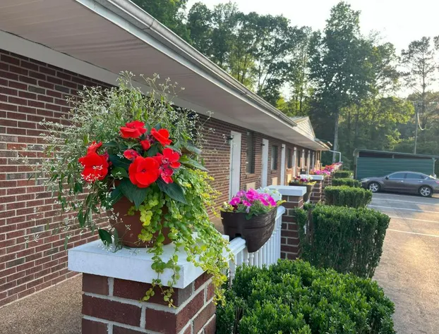 Pine Tree Inn hotel detail image 3