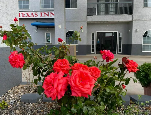 Texas Inn La Feria hotel detail image 2