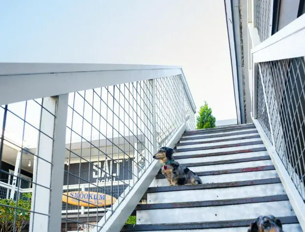 Salt Hotel & Pub hotel detail image 4