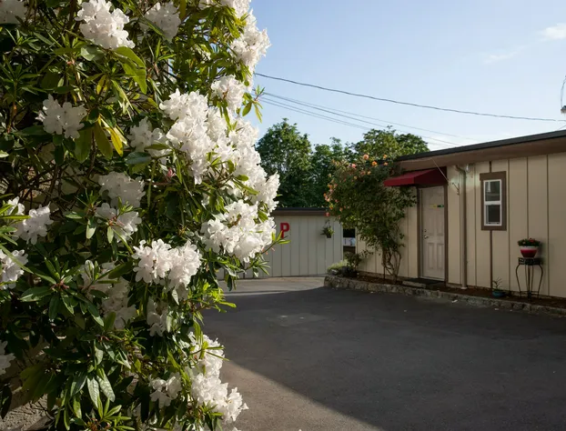 Cherry Tree Inn Victoria hotel detail image 3