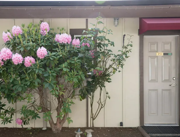 Cherry Tree Inn Victoria hotel detail image 4