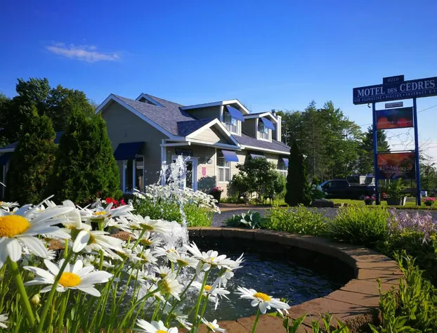 Motel des Cèdres hotel detail image 3