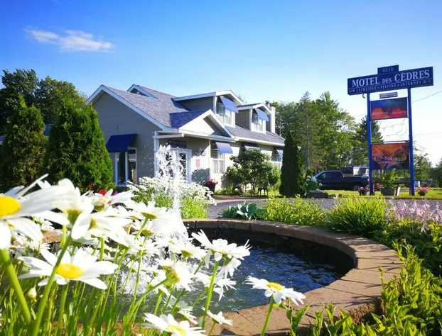 Motel des Cèdres hotel detail image 4