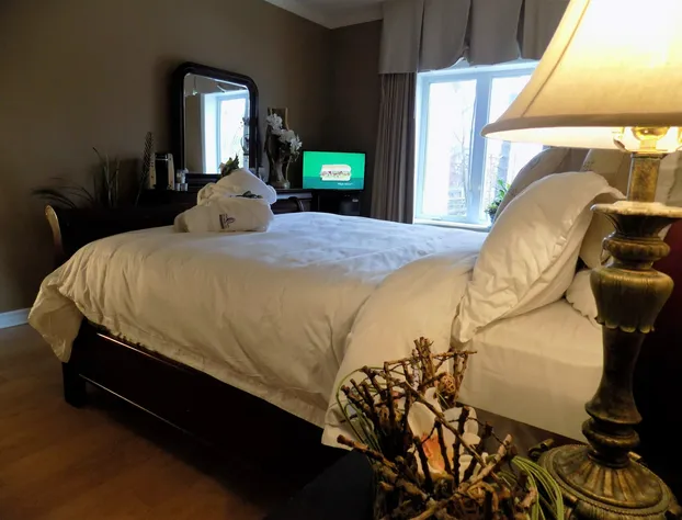 L'Oasis de l'Île, Refuge Urbain hotel detail image 4