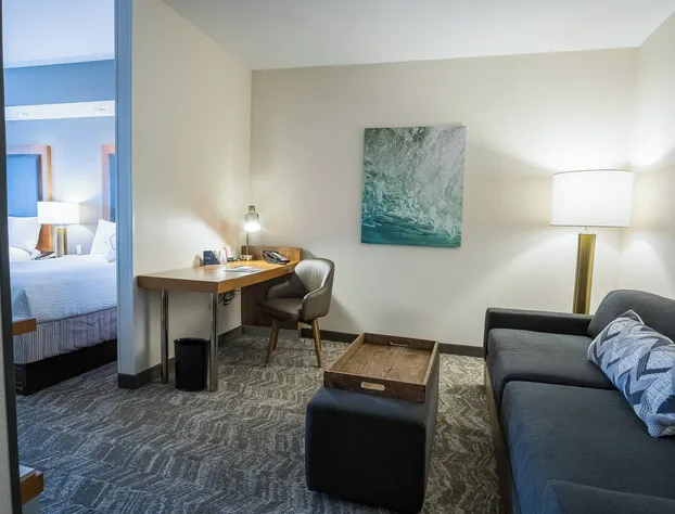 Springhill Suites by Marriott Winston-Salem Hanes Mall hotel detail image 4