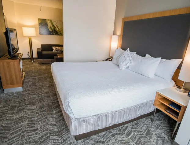 Springhill Suites by Marriott Winston-Salem Hanes Mall hotel detail image 2