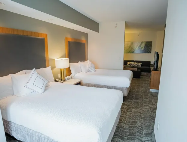 Springhill Suites by Marriott Winston-Salem Hanes Mall hotel detail image 3