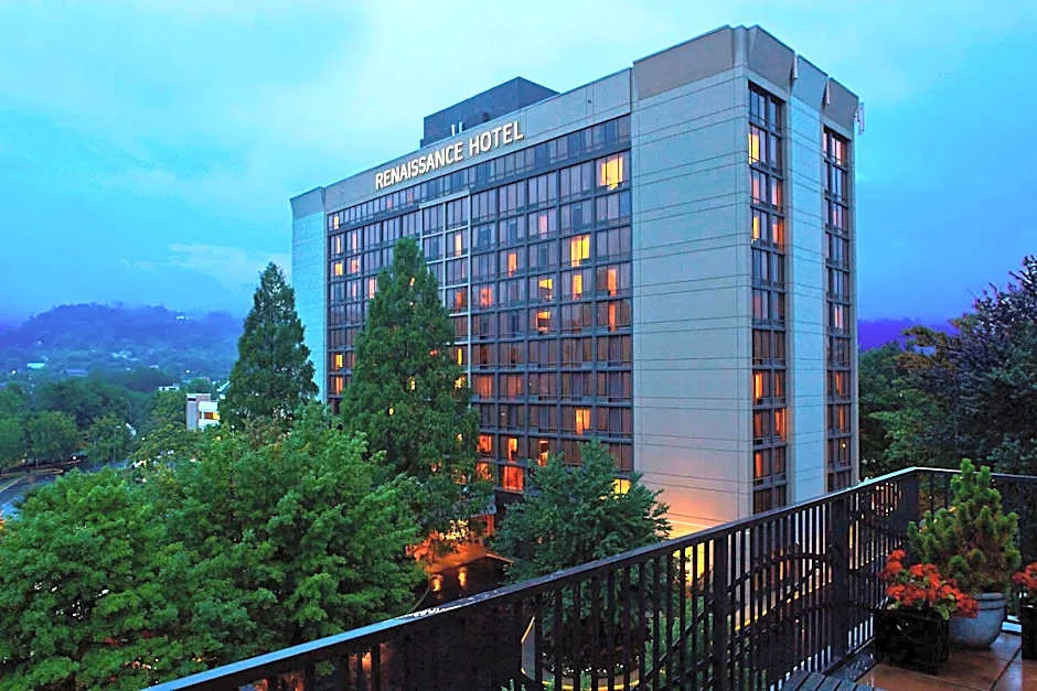 Renaissance Asheville Downtown Hotel hotel hero