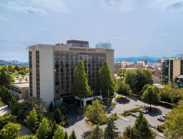 Renaissance Asheville Downtown Hotel hotel detail image 2