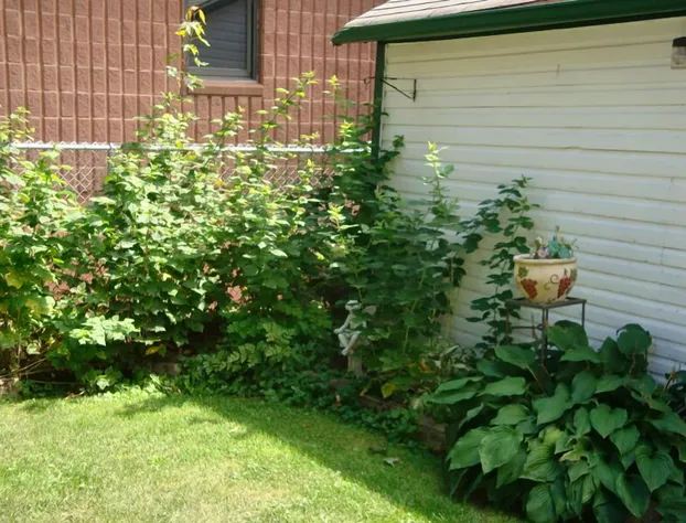 Downtown Bed And Breakfast hotel detail image 1