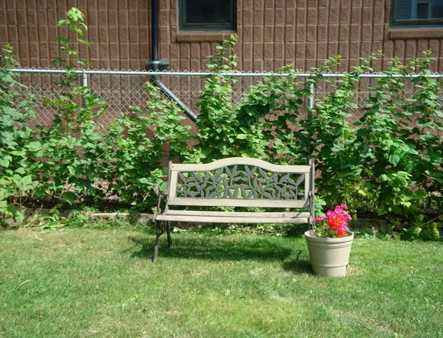 Downtown Bed And Breakfast hotel detail image 2