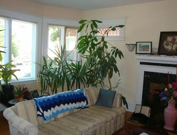 Downtown Bed And Breakfast hotel detail image 4