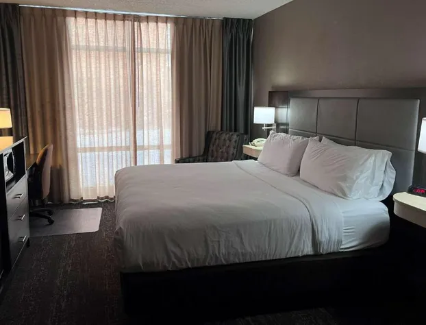 Wyndham Garden Southgate hotel detail image 4