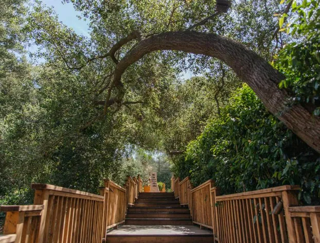 CALAMIGOS RANCH Resort & Spa hotel detail image 4