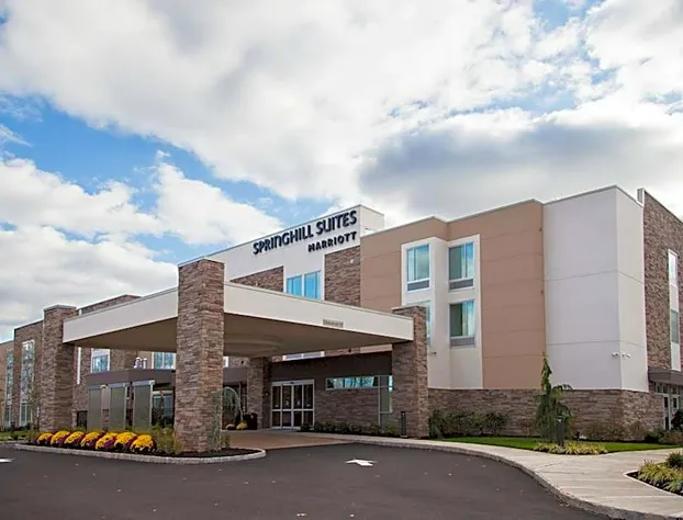 Springhill Suites Somerset Franklin Township hotel detail image 1