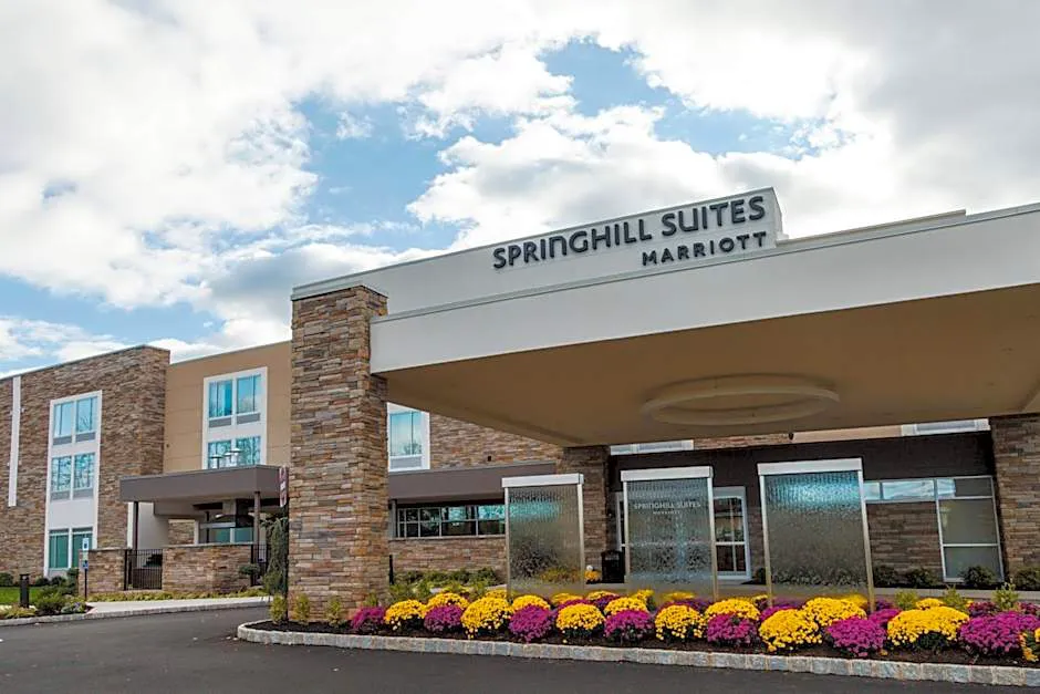 Springhill Suites Somerset Franklin Township hotel hero