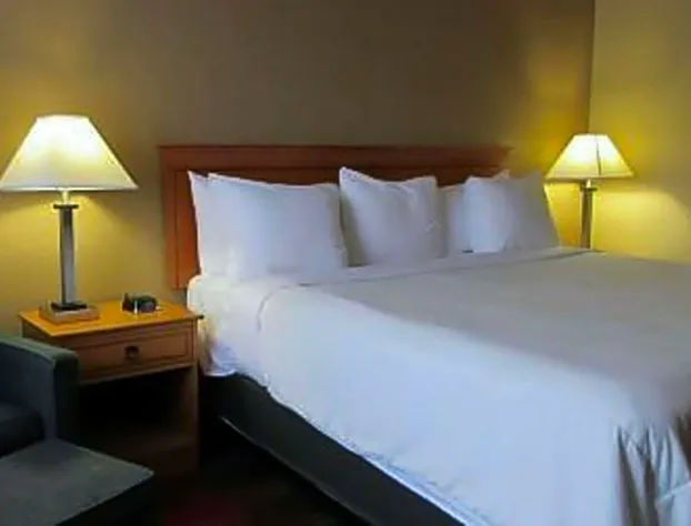 Quality Inn & Suites Airport hotel detail image 3
