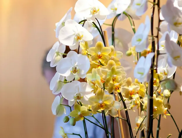 M Star Columbus North hotel detail image 4