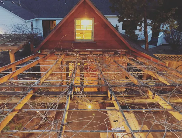 RubyJune Inn hotel detail image 1