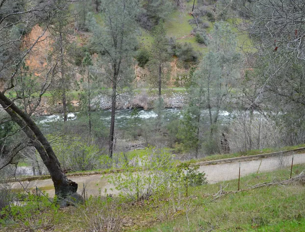 Red Bud Lodge hotel detail image 3