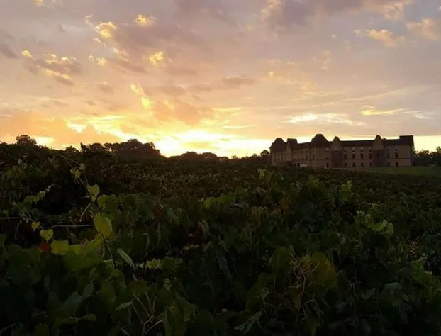 Hampton Inn & Suites Braselton hotel detail image 2