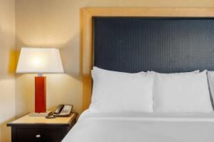 Quality Inn hotel detail image 3