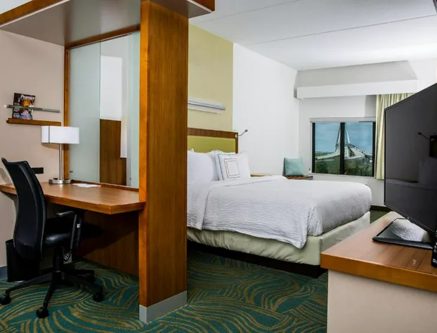 Springhill Suites by Marriott Charleston Mount Pleasant hotel detail image 4