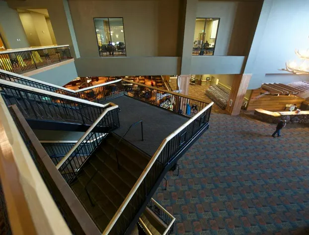 Great Wolf Lodge Anaheim, CA hotel detail image 2