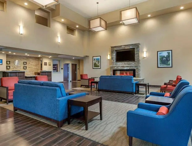 Comfort Inn & Suites Near Mt. Rushmore hotel detail image 2
