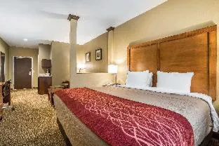 Comfort Inn & Suites Near Mt. Rushmore hotel detail image 4