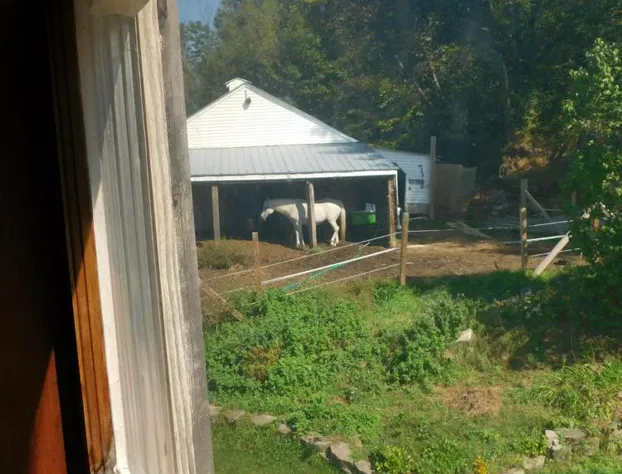 No View Farm Inn & Bakery hotel detail image 4