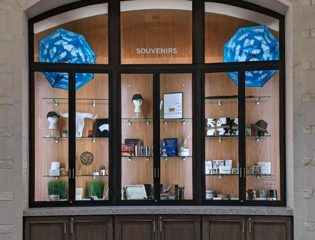 Archer Hotel Austin at the Domain hotel detail image 4