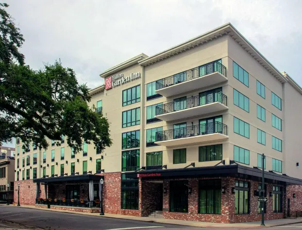 Hilton Garden Inn Mobile Downtown hotel detail image 2