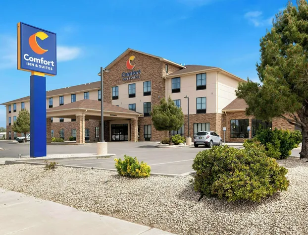 Comfort Inn & Suites Lovington hotel detail image 2