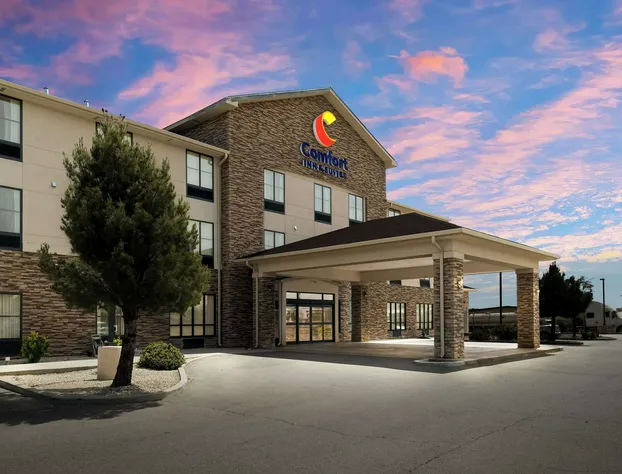 Comfort Inn & Suites Lovington hotel detail image 2