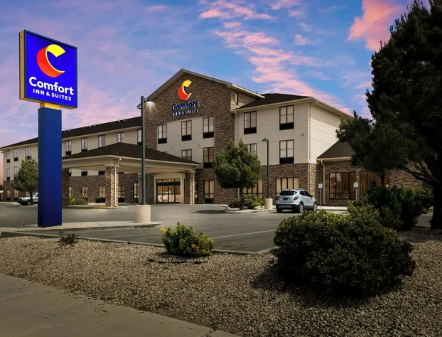 Comfort Inn & Suites Lovington hotel detail image 3