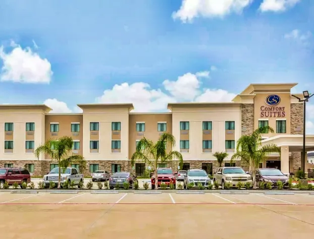 Comfort Suites Houston I45 North hotel detail image 2