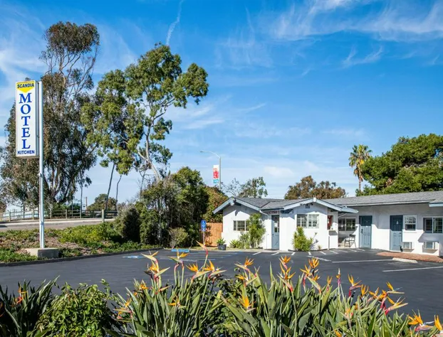 Scandia Motel hotel detail image 2