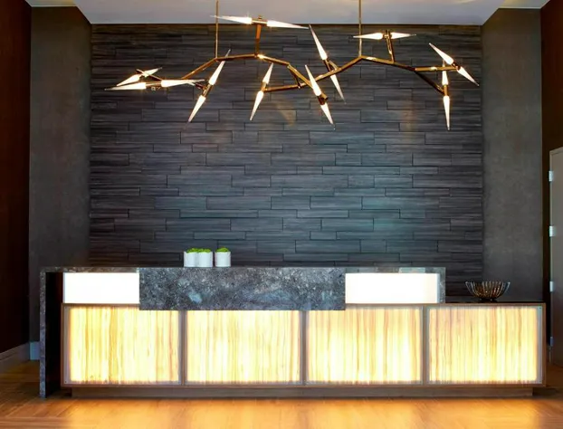 AC Hotel Atlanta Buckhead at Phipps Plaza hotel detail image 3