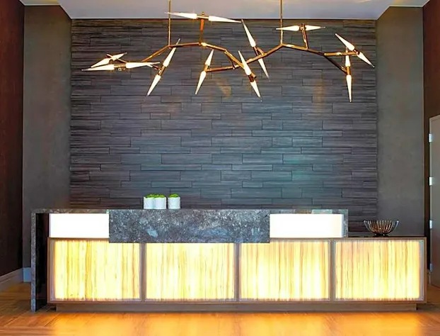 AC Hotel Atlanta Buckhead at Phipps Plaza hotel detail image 3