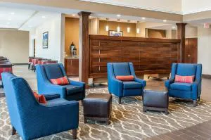 Comfort Suites Rensselaer near Fair Oaks hotel detail image 2