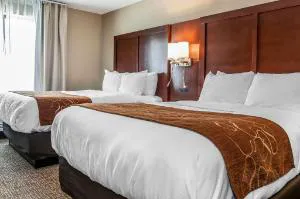 Comfort Suites Rensselaer near Fair Oaks hotel detail image 4