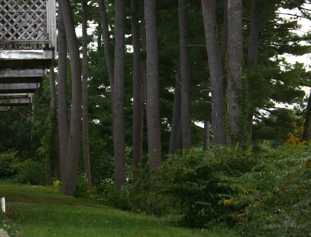 Milford Motel On The River hotel detail image 2