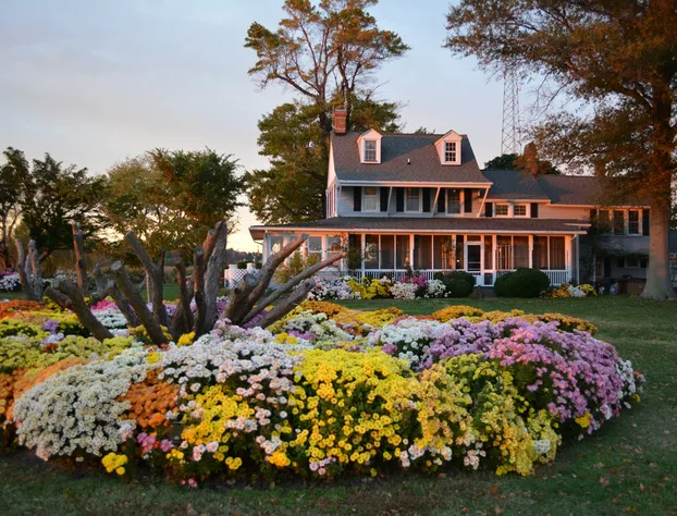 Black Walnut Point Inn hotel detail image 4