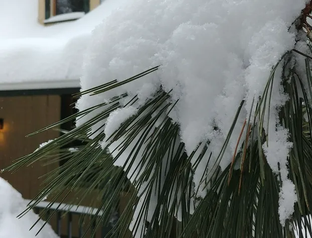Auberge Le Cosy hotel detail image 4