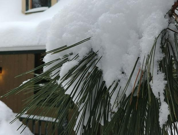 Auberge le Cosy Tremblant hotel detail image 4