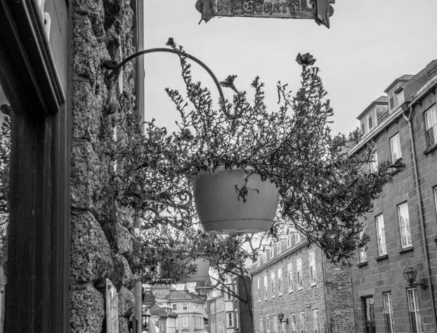 Hôtel Maison Du Général hotel detail image 3