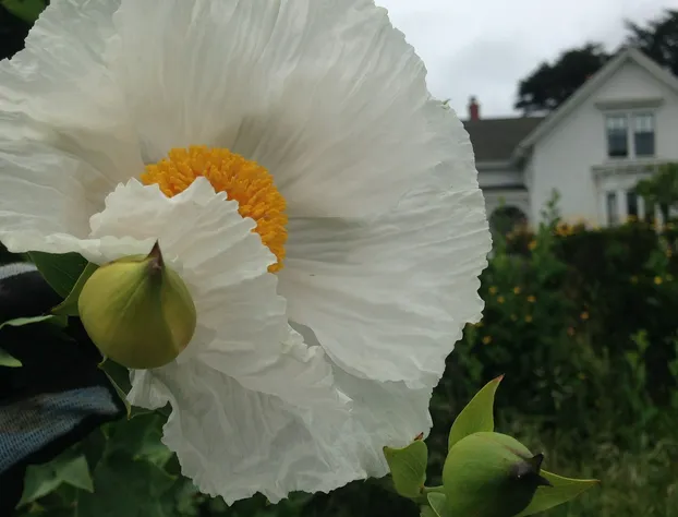 Joshua Grindle Inn hotel detail image 3