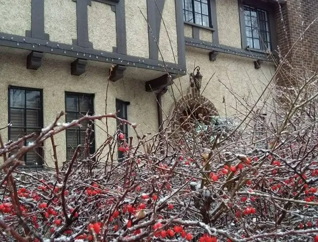 Ambassador B&B hotel detail image 1