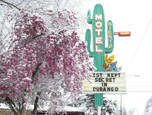 Siesta Motel hotel detail image 2